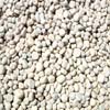 Beige sandstone Pebbles