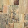 Mint fossils Sawn Tiles